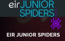 2016 Junior Spider Awards